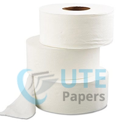 Morcon Paper Millennium Bath Tissue, 2-Ply, White, 12 Rolls/Carton