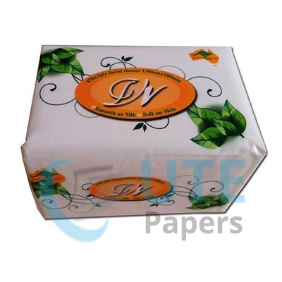 Printed Costomer Logo Soft Pack Facial Tissues Wholesale